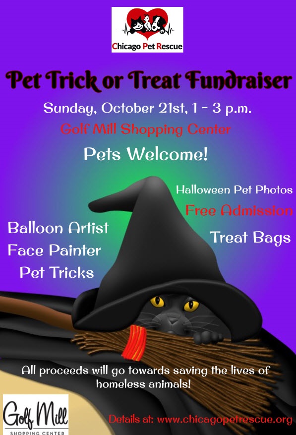Chicago Pet Rescue Fundraiser