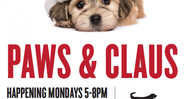 Paws & Claus sponsored by Wright Way Rescue